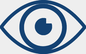 vision icon