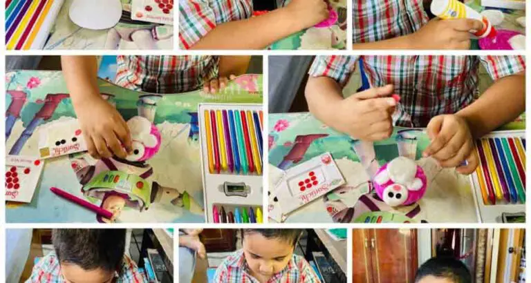 Raksha Bandhan Six 2020