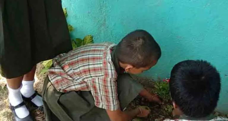 World Earth Day Celebration One