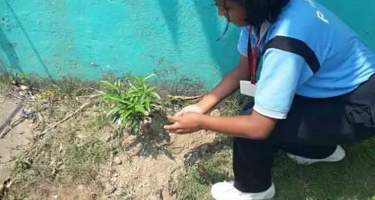 World Earth Day Celebration Three