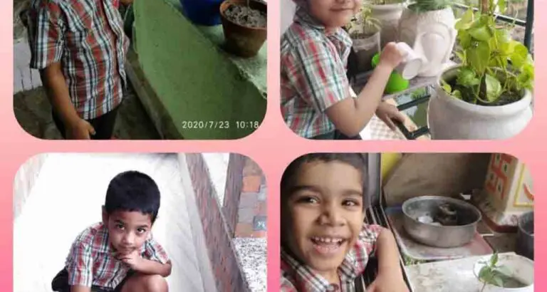 World Nature Conservation Day Five