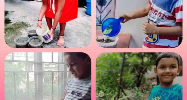 World Nature Conservation Day Four