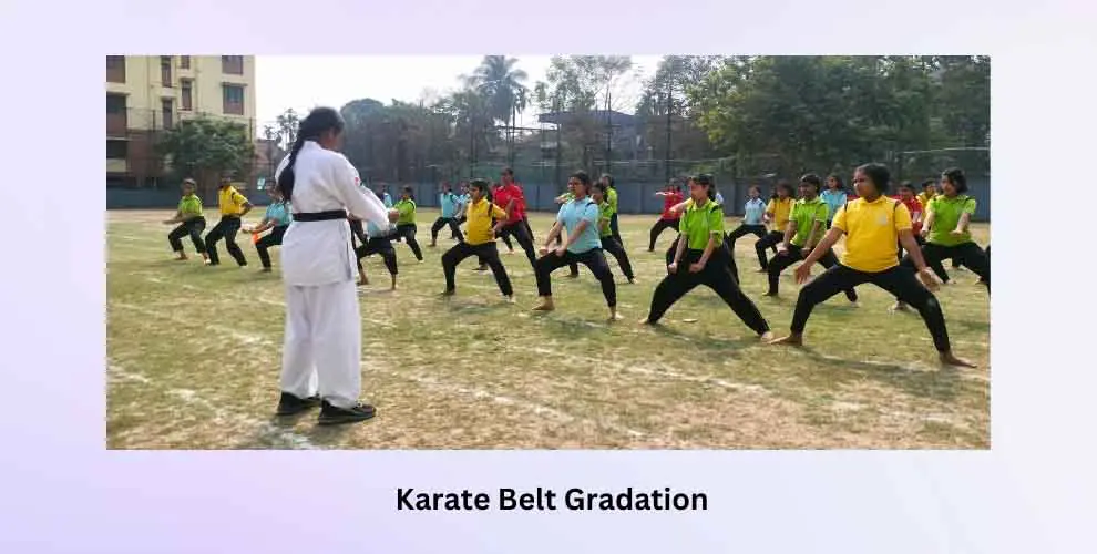 Karate Belt Gradation 2024