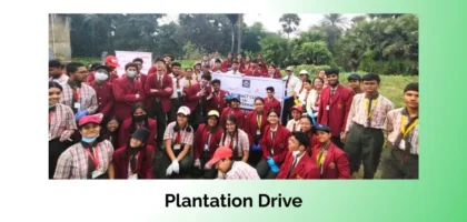 Plantation